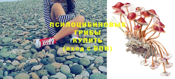 первитин Медвежьегорск