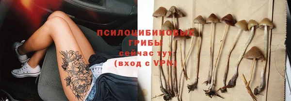 мдпв Зеленодольск