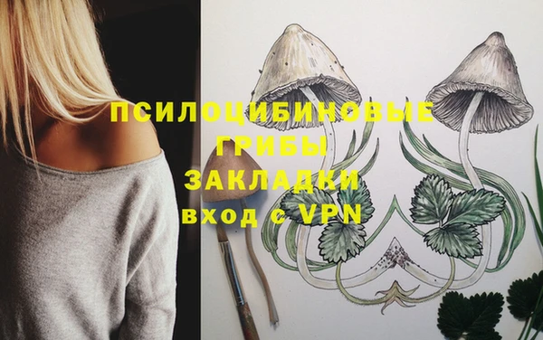 винт Мегион