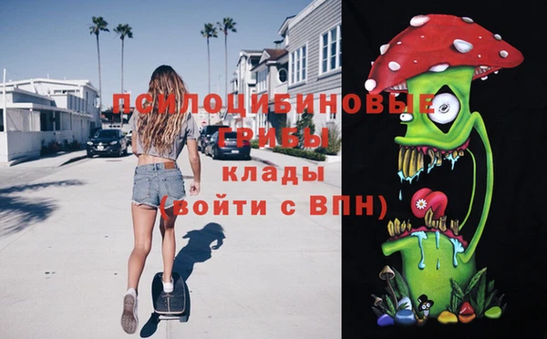 PSILOCYBIN Медногорск